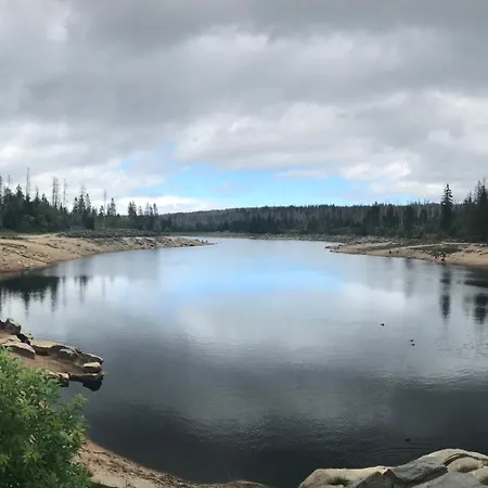 Panoramic - Wanderlust #329 Mit Schwimmbad * Hohegeiß