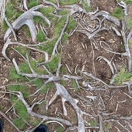 Panoramic - Wanderlust #329 Mit Schwimmbad