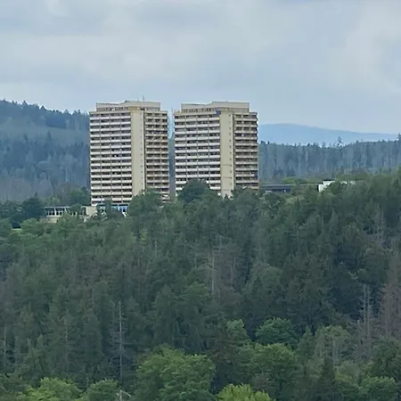 Panoramic - Wanderlust #329 Mit Schwimmbad Διαμέρισμα Hohegeiß