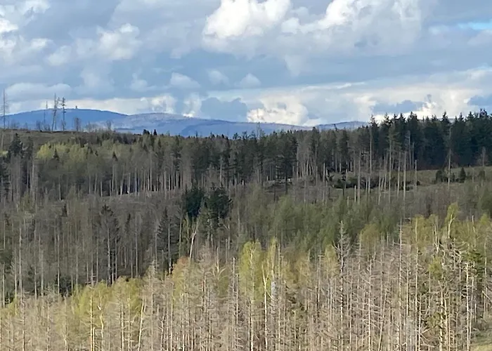 Panoramic - Wanderlust #329 Mit Schwimmbad Daire