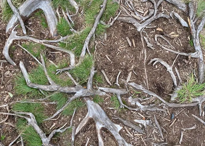 Panoramic - Wanderlust #329 Mit Schwimmbad